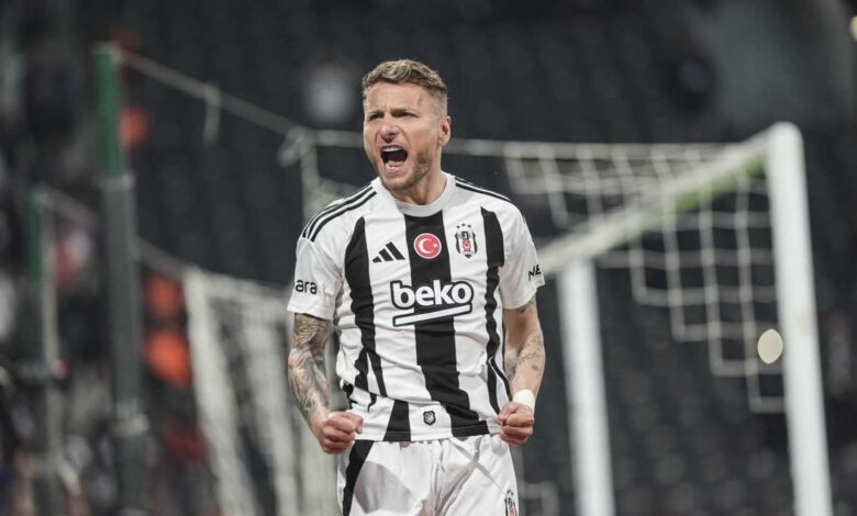 Immobile kalmak istiyor 1 immobile kalmak istiyor rCeOXxEb