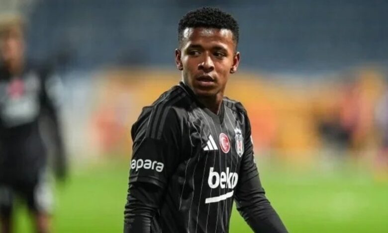 Arroyo’da mutlu son 1 arroyoda mutlu son cPd3nAal